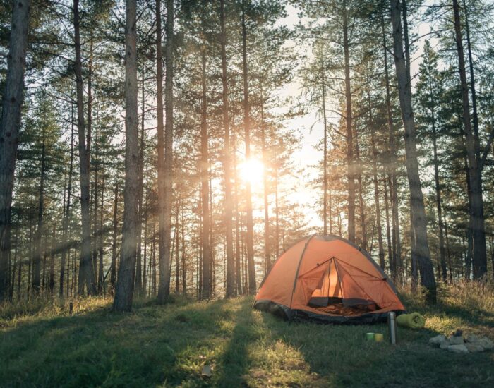 tourism insurance cover